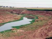 「北王国史をほぼ語らない（沈黙）」のに「全イスラエル」を連呼する（強調）――この一見ねじれた編集が、歴代誌の“狙い”をいちばん露骨に示します。⚙️📜